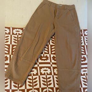 Everlane Utility Barrel Pant